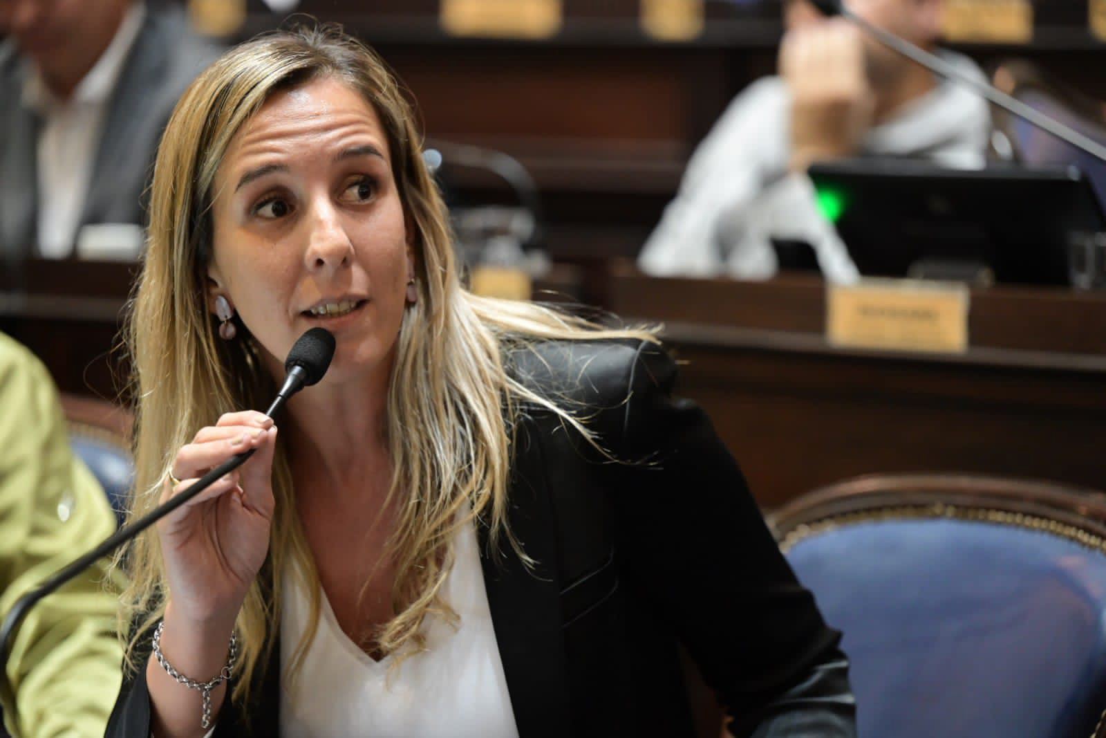 Lucía Iañez en la Honorable Cámara de Diputados de la provincia de Buenos Aires.